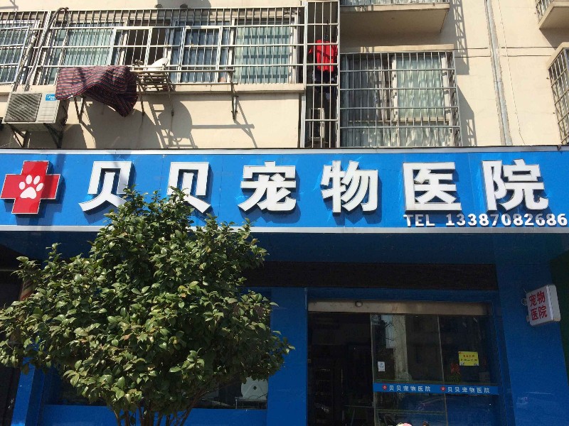 点击放大